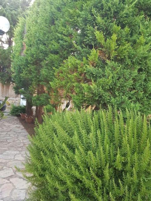 Appartamento Delle Pomelie *
